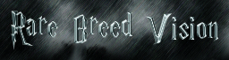 Rare Breed Vision